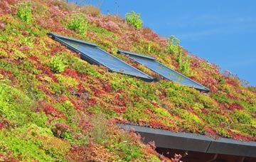 Farlington living roof systems